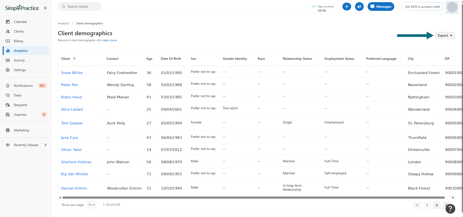 The Client demographics report with the Export button