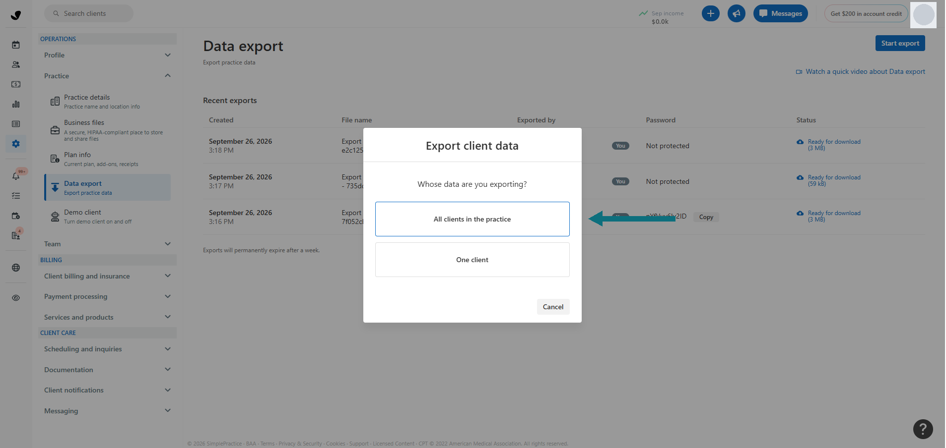 Choosing All clients in the practice when starting the export